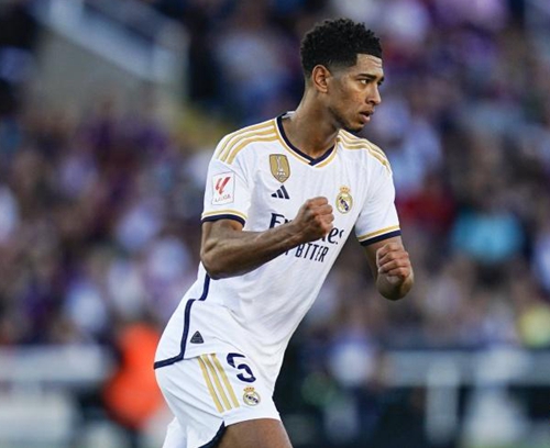 的可切换 的可切换